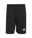 Tiro Training Shorts